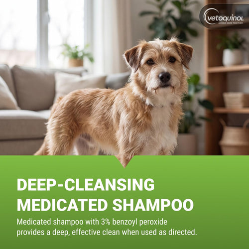 16oz 3% Benzoyl Peroxide Medicated Shampoo E31388