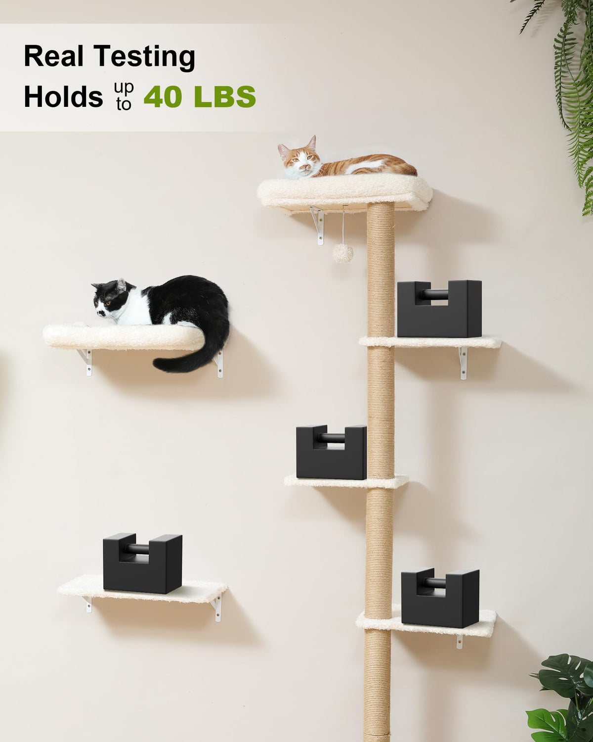 Beige Wall Mounted Cat Shelves Set I447