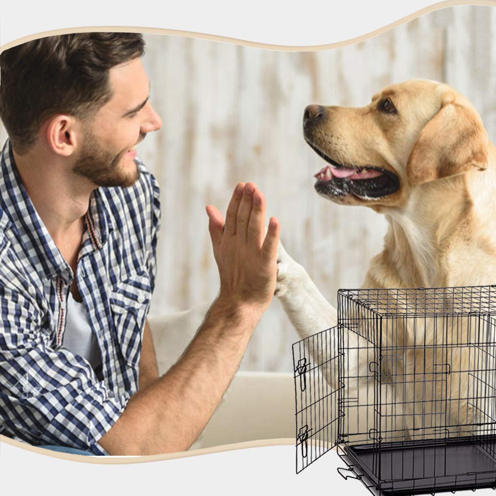 Folding Metal Dog Crate with Divider and Handle I38665