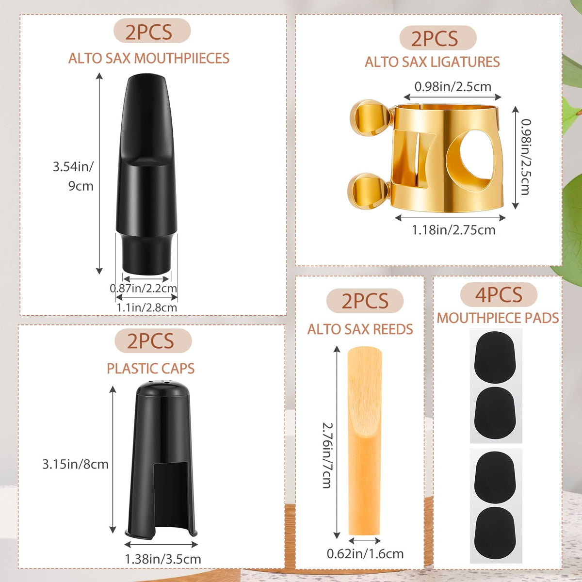 2 Set Alto Saxophone Mouthpiece Kit with 2.5 Reeds V633