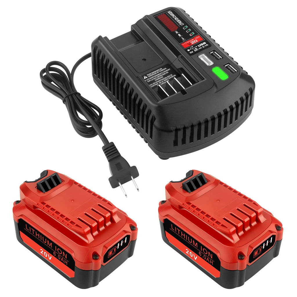 20V 6.0Ah Lithium ion Batteries and Charger Kit E64103
