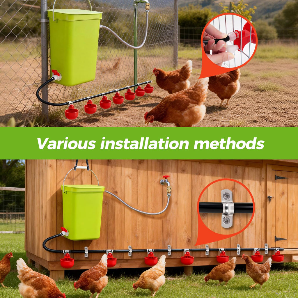 Automatic Chicken Waterer Set F121