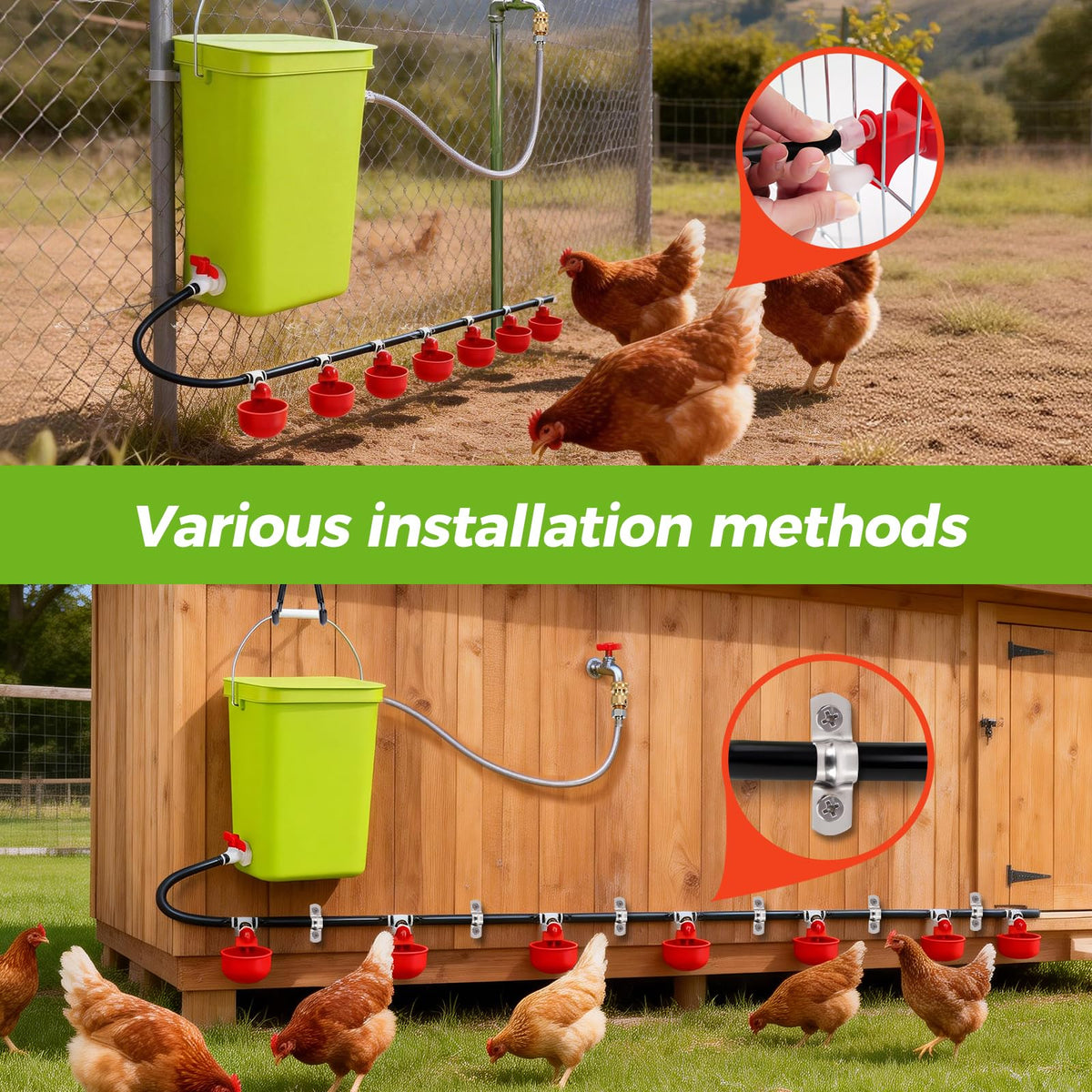 Automatic Chicken Waterer Set F121