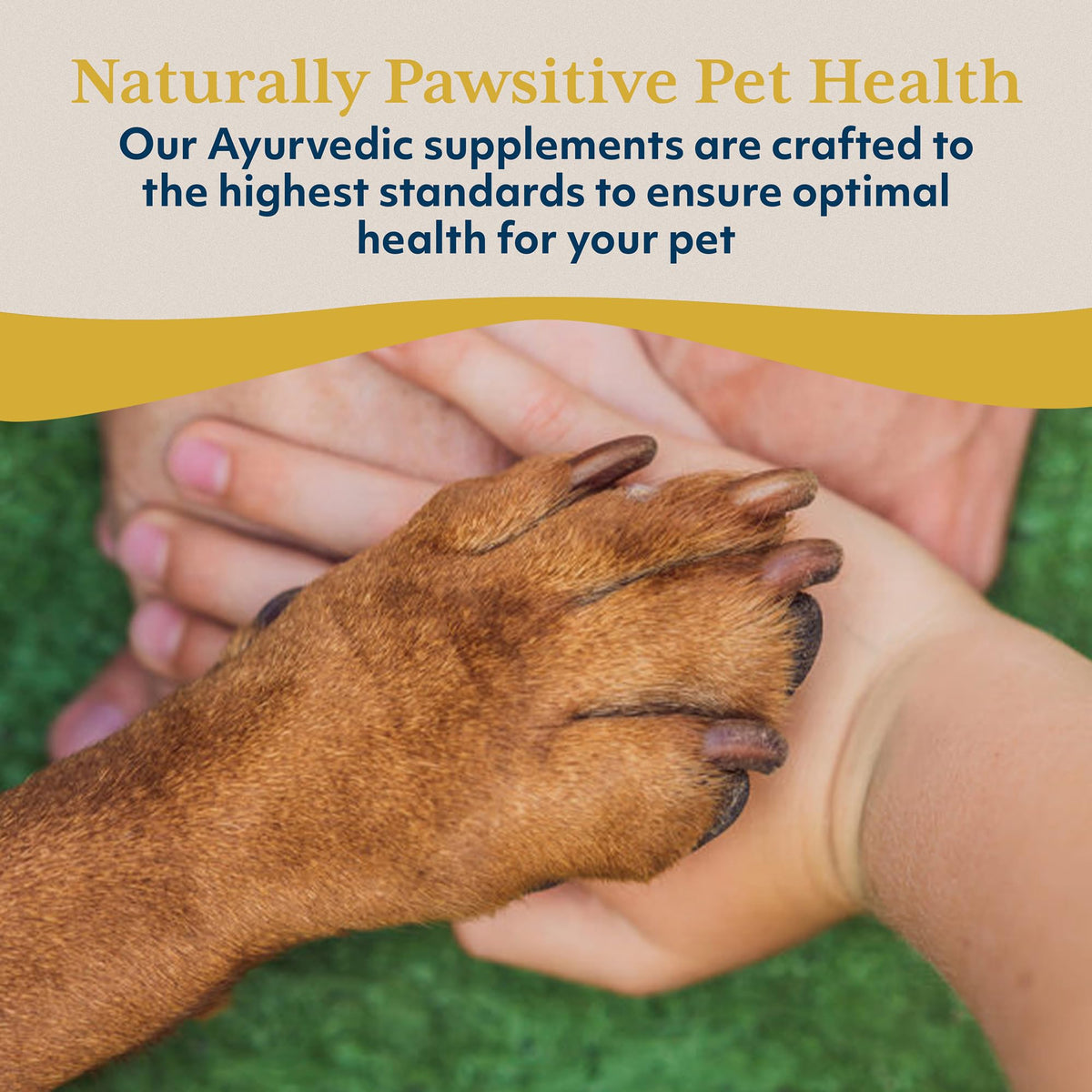 Dog Liver Support Supplement 90 Servings T519
