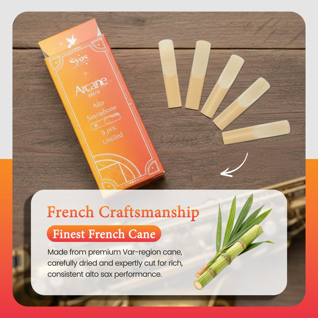 Alto Saxophone Reeds 2.5 French Cane Box of 5 A153