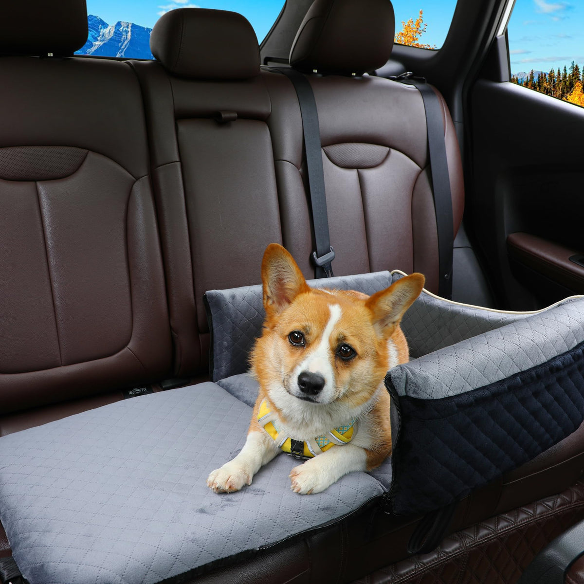 Dog Car Seat Bed 2 in 1 Memory Foam Removable Washable N67039