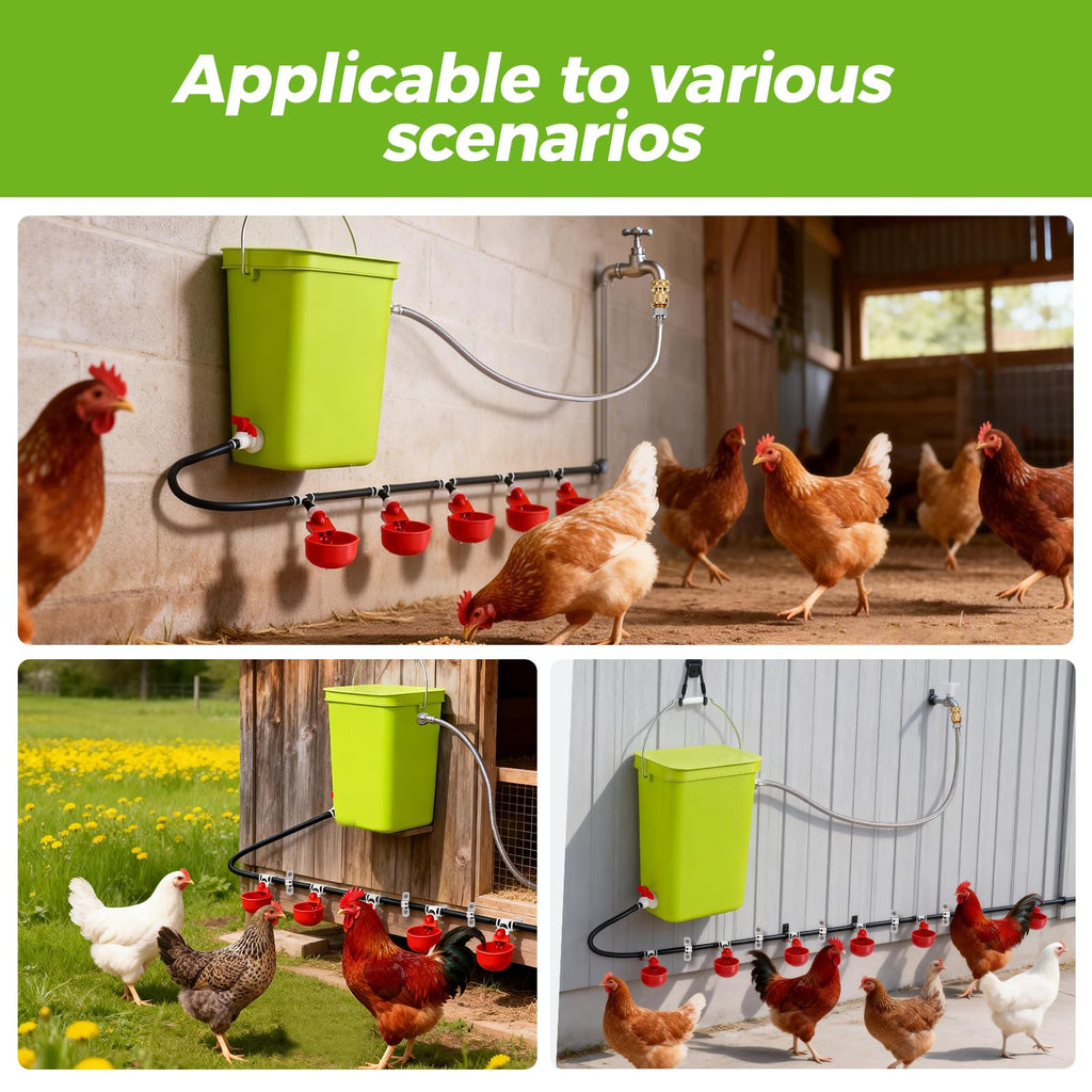 Automatic Chicken Waterer Set F121