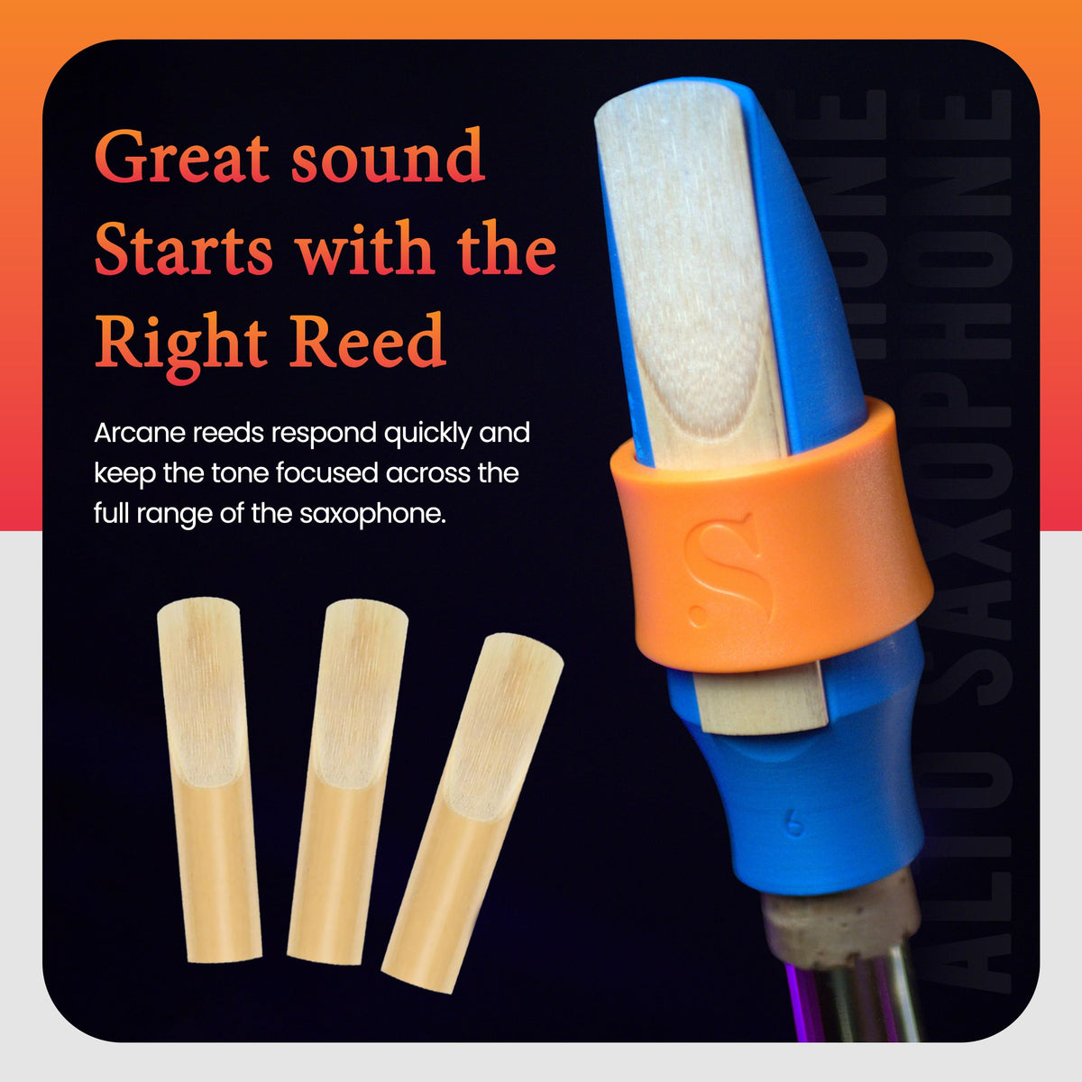 Alto Saxophone Reeds 2.5 French Cane Box of 5 A153