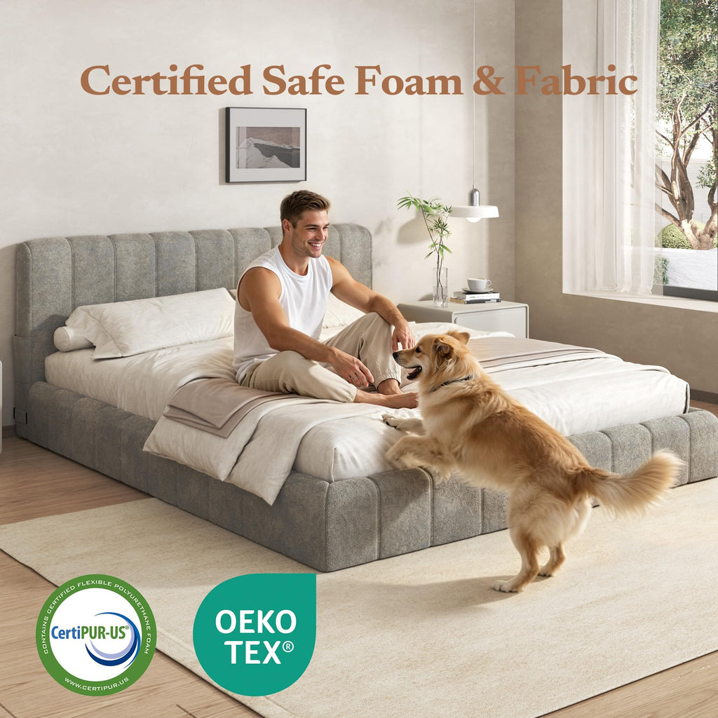 Queen Cloud Bed Frame Z1680
