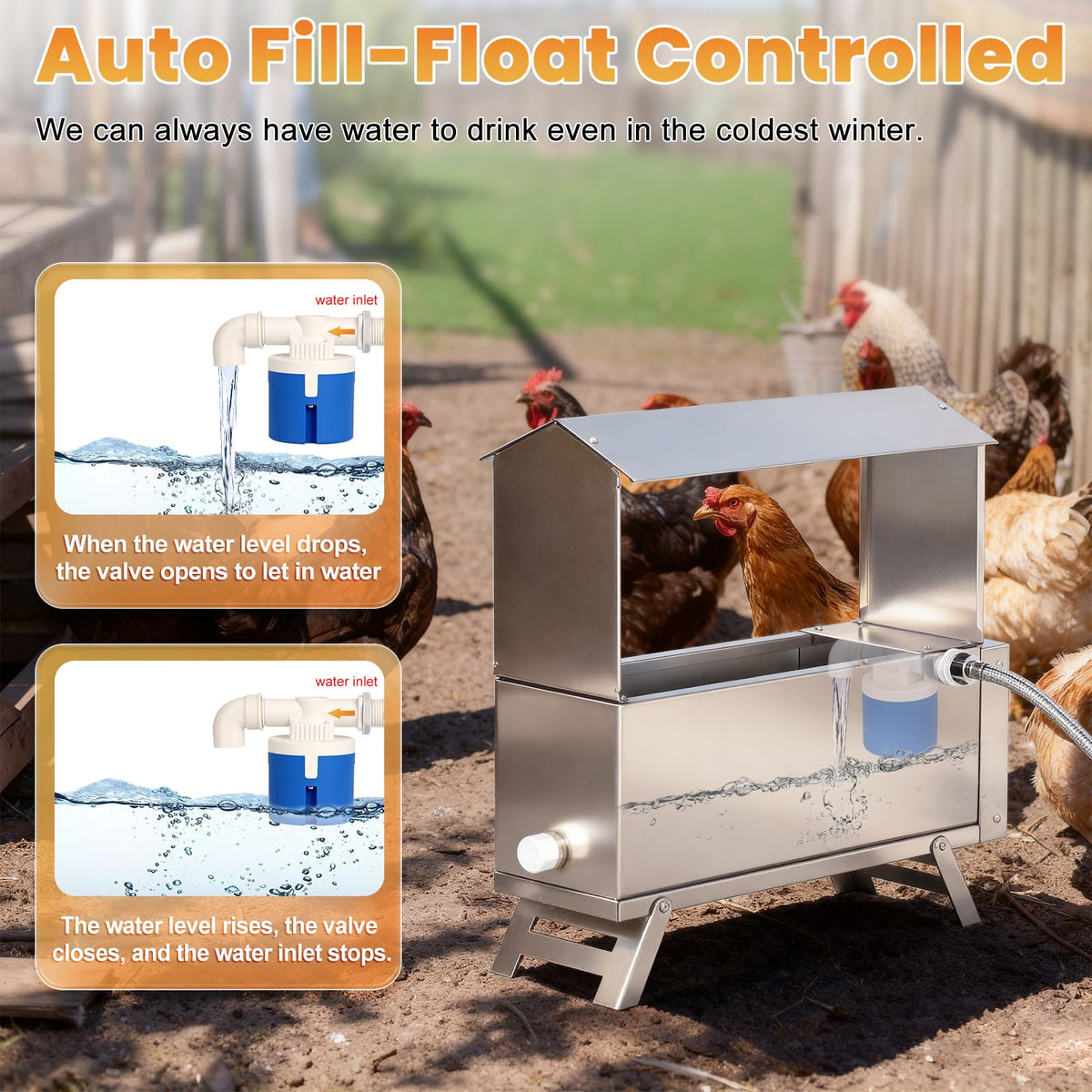 Heated 2 Gallon Stainless Steel Chicken Waterer V249