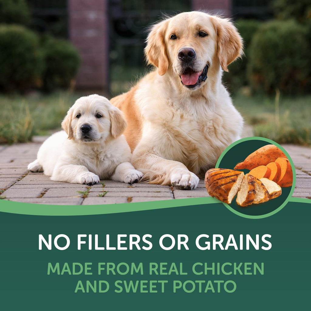 Chicken Wrapped Sweet Potato Dog Treats 16oz A57745