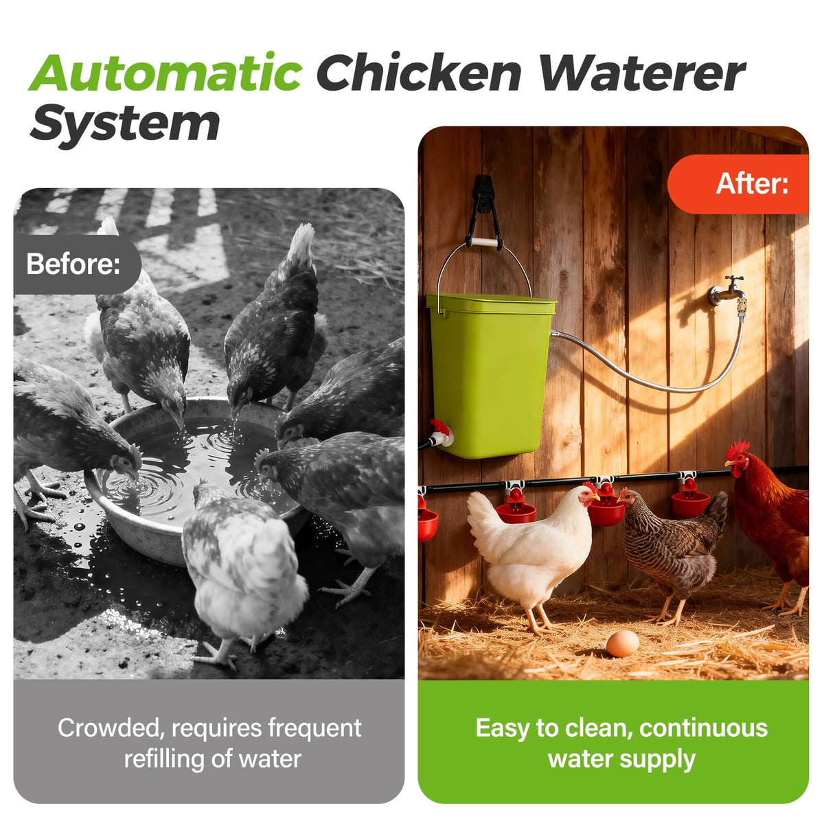Automatic Chicken Waterer Set F121
