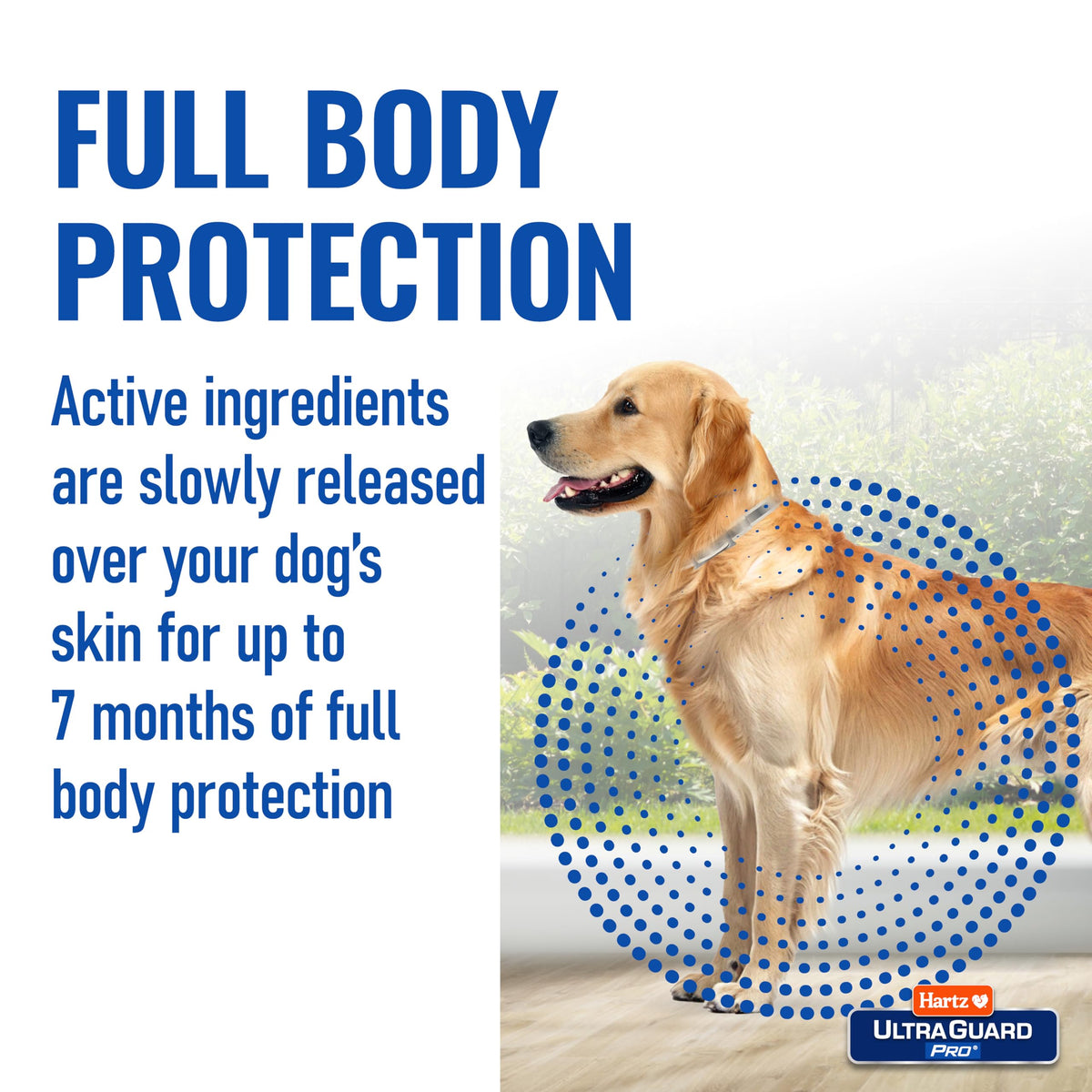 Reflective Flea & Tick Collar for Dogs and Puppies, 7 Month, 1 Count D347