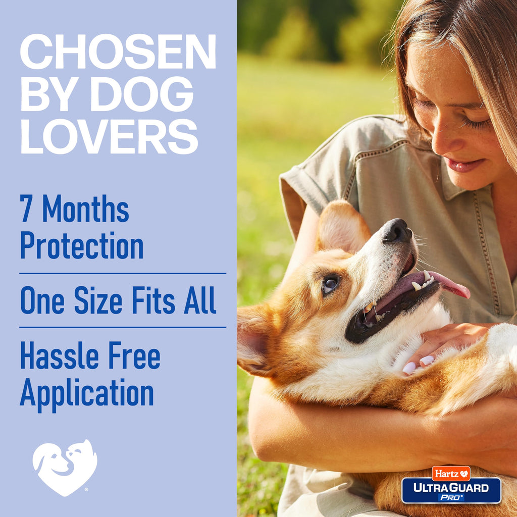 Reflective Flea & Tick Collar for Dogs and Puppies, 7 Month, 1 Count D347