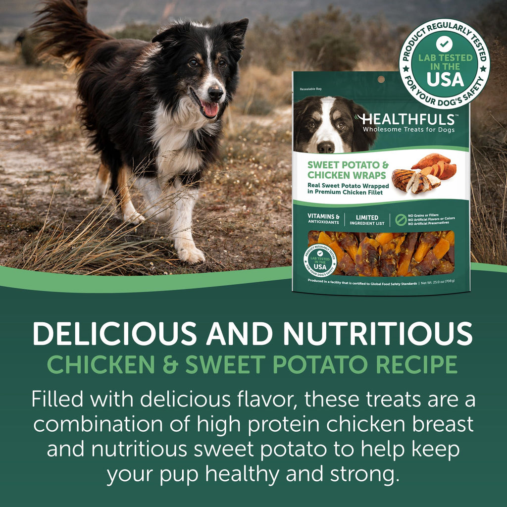 Chicken Wrapped Sweet Potato Dog Treats 16oz A57745