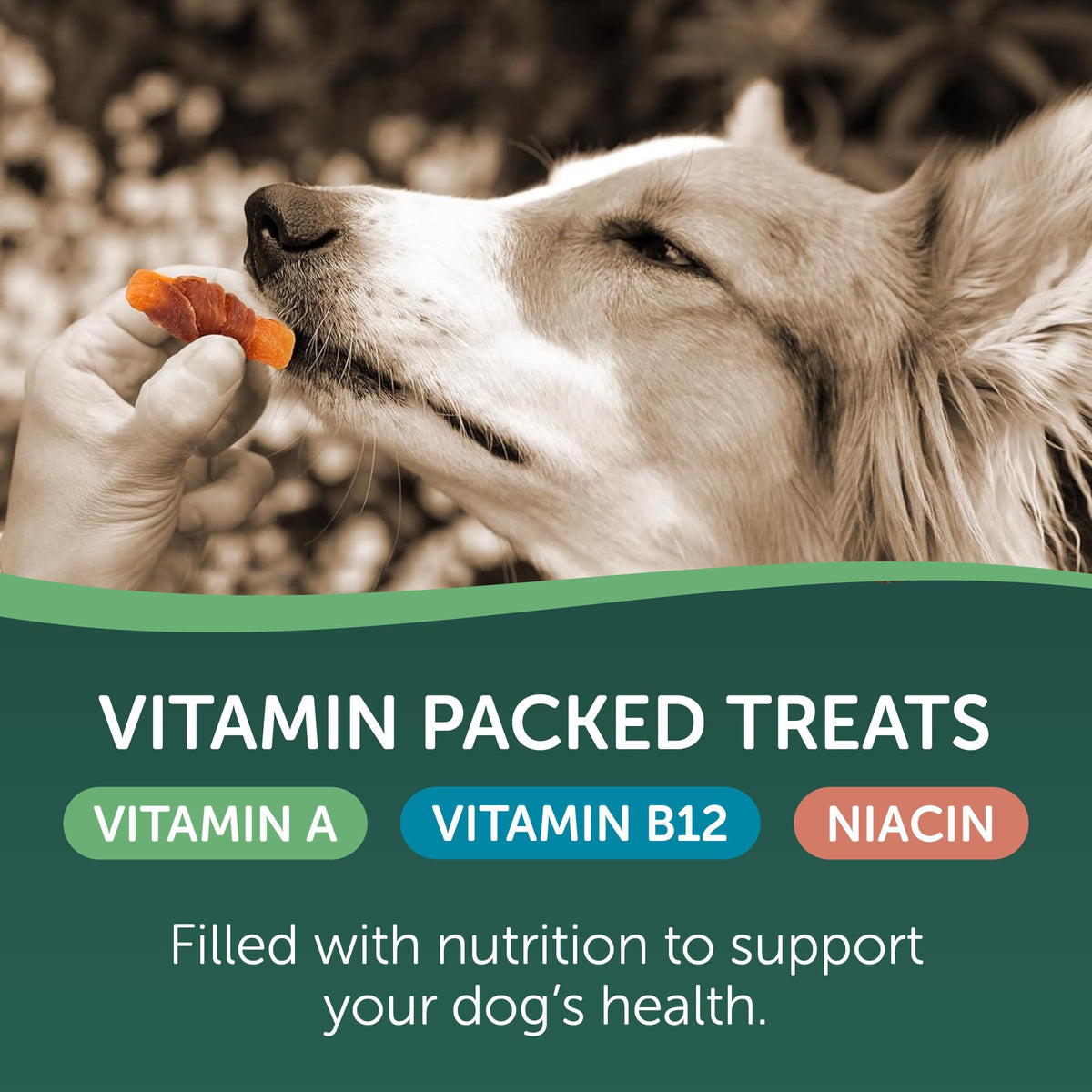 Chicken Wrapped Sweet Potato Dog Treats 16oz A57745