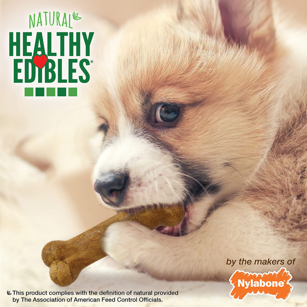 Healthy Edibles Puppy Dog Treats Variety Pack, 3 Count J746448